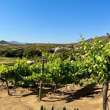Cabanas Colibri Valle de Guadalupe Dış mekan fotoğraf