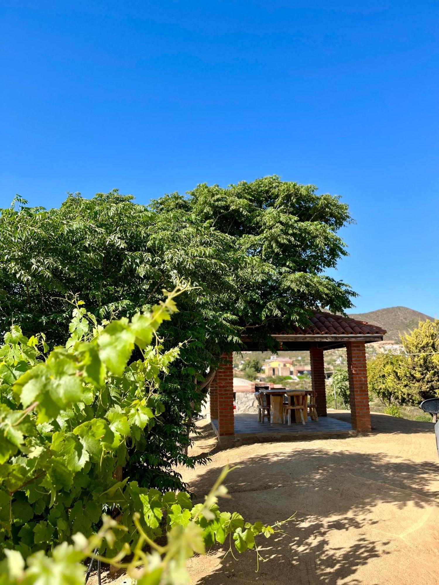 Cabanas Colibri Valle de Guadalupe Dış mekan fotoğraf