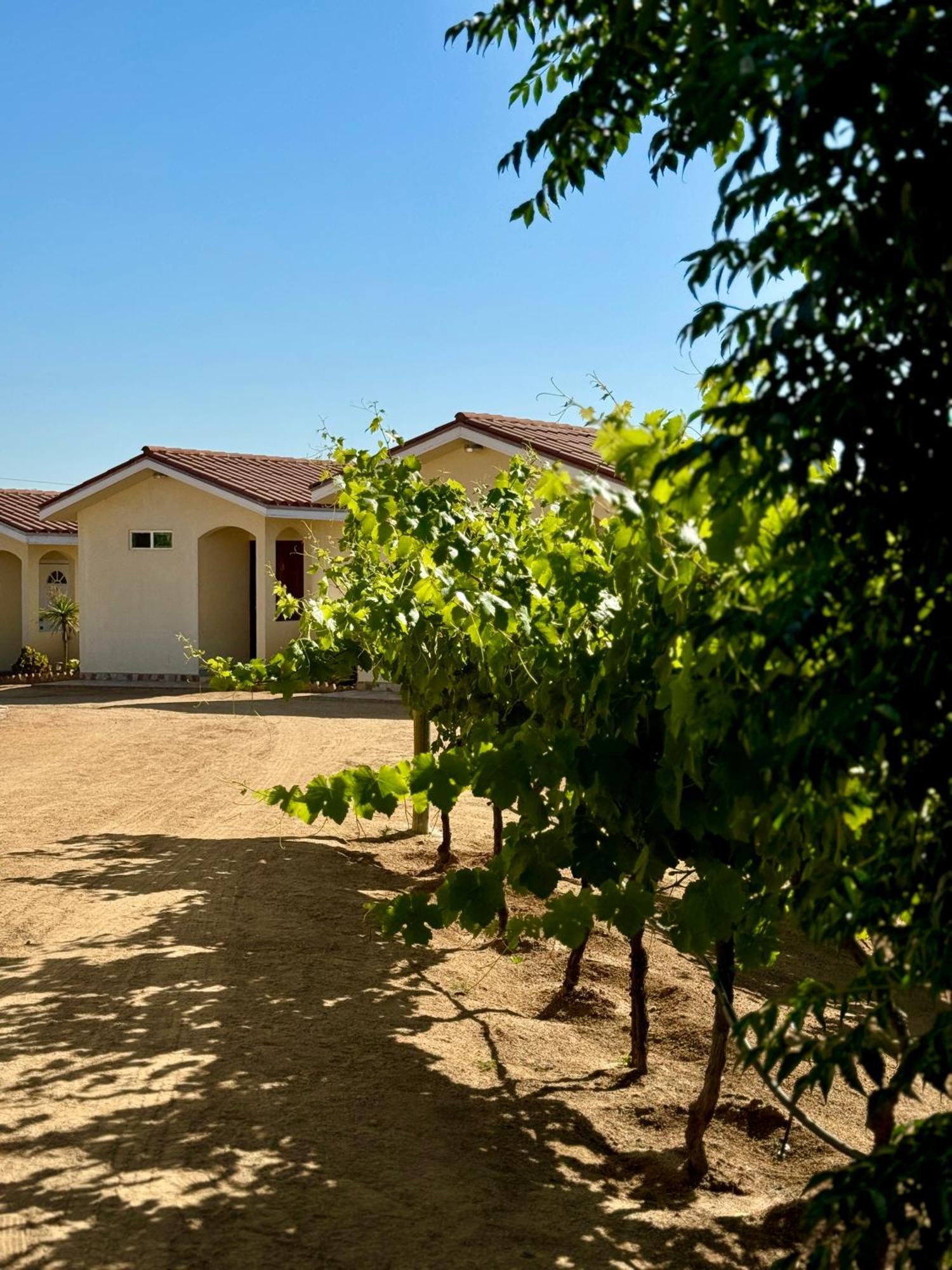 Cabanas Colibri Valle de Guadalupe Dış mekan fotoğraf